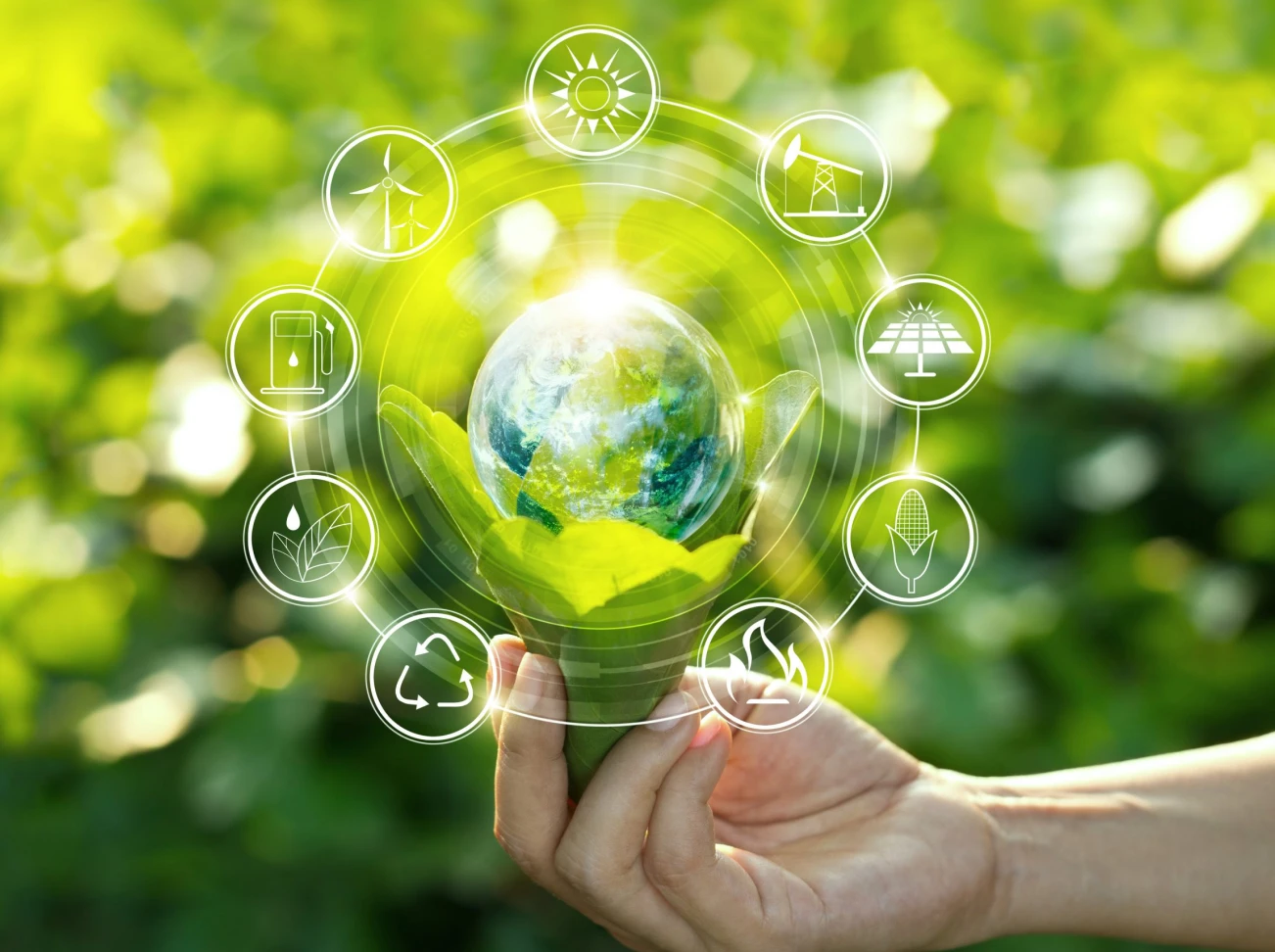 Sustainability Commitment
